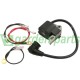 BOBINA ELLETRONICA PER STIHL 021 023 025 MS210 MS230 MS250 STIHL 044037