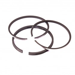 SEGMENTI DI PISTONE PER BRIGGS & STRATTON (60.32mm) 295657 294232